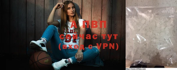 крисы Алексин