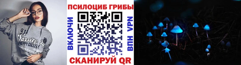 купить наркотик  Николаевск-на-Амуре  гидра рабочий сайт  Псилоцибиновые грибы Psilocybe 